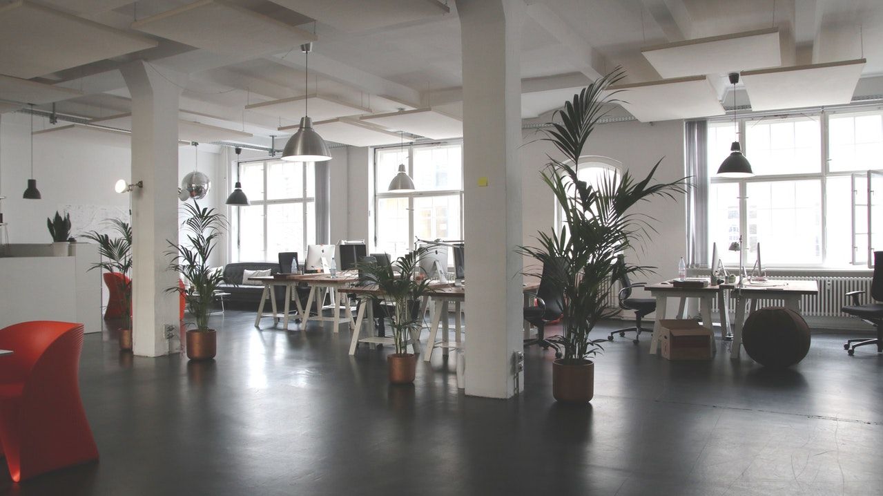 Jardinería para empresas